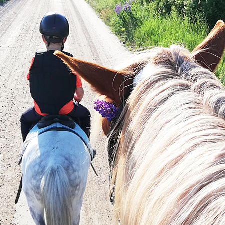 Jos mielit ratsaille, löytyy meiltä sopivia kilttejä hevosia niin isoille kuin pienille.